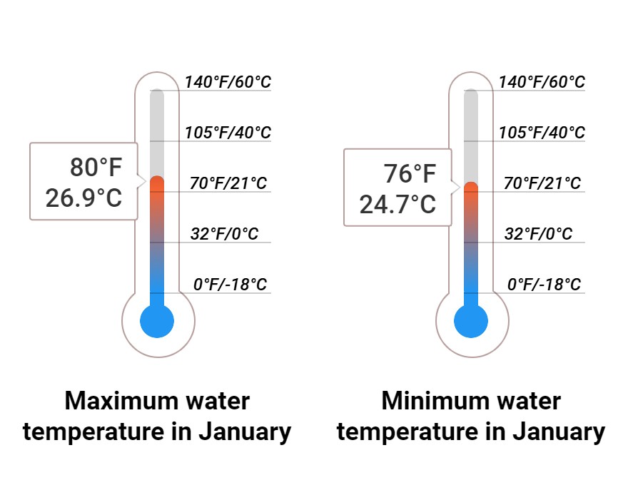 Average Sea temperature